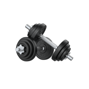 Fitness DUMBBELL 10 kg